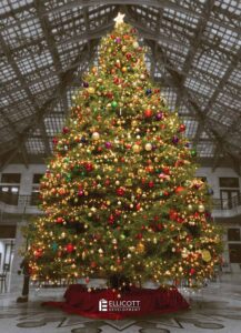 Christmas Tree inside the Ellicott Square Building