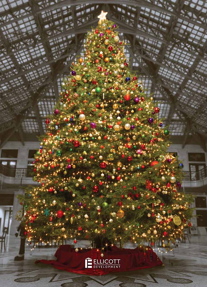 Ellicott Square Christmas Tree